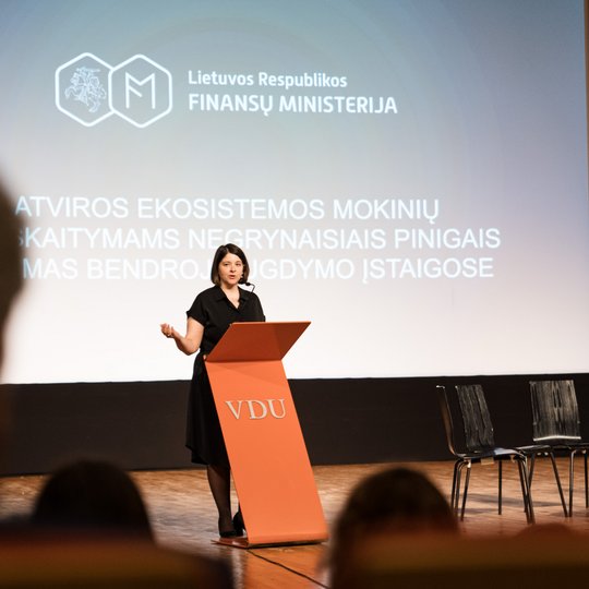 Iliustracija