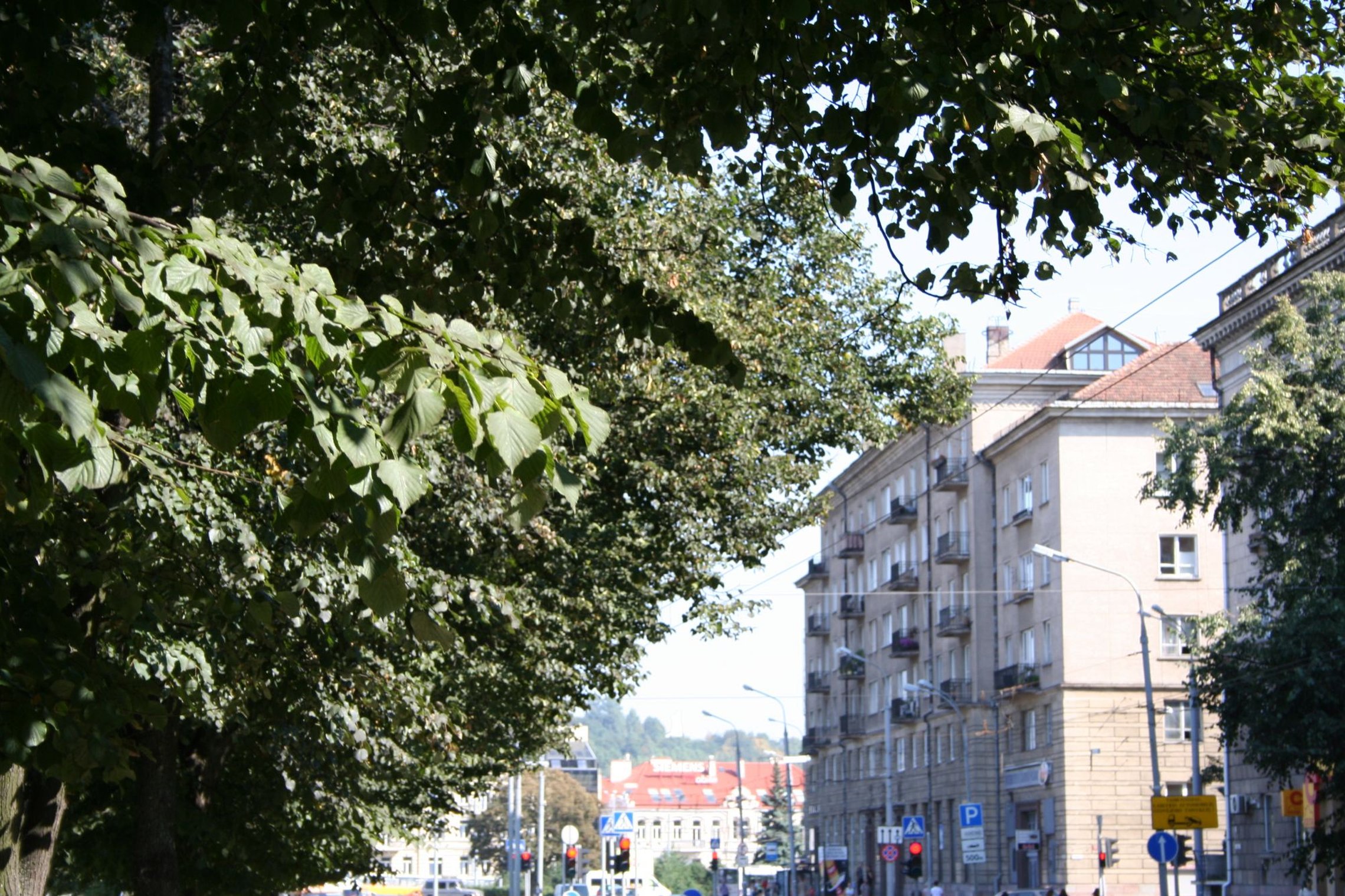 Iliustracija