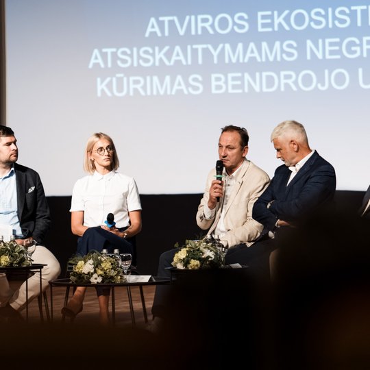 Iliustracija